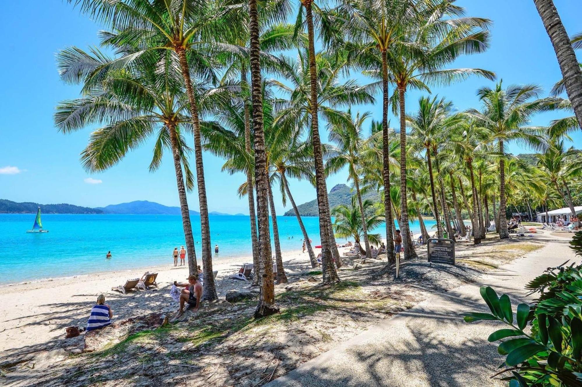 Beachfront 해밀턴아일랜드 외부 사진