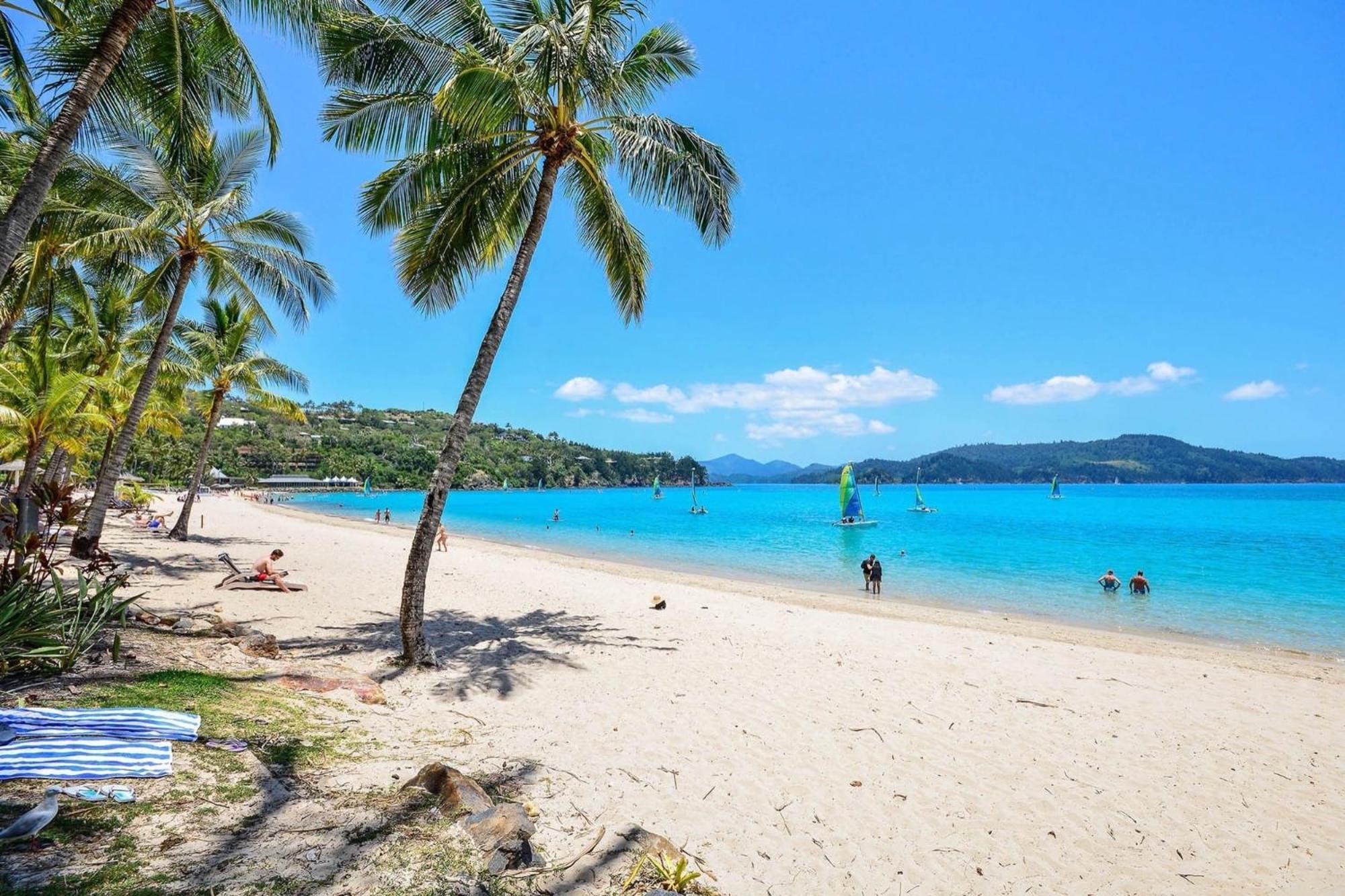 Beachfront 해밀턴아일랜드 외부 사진