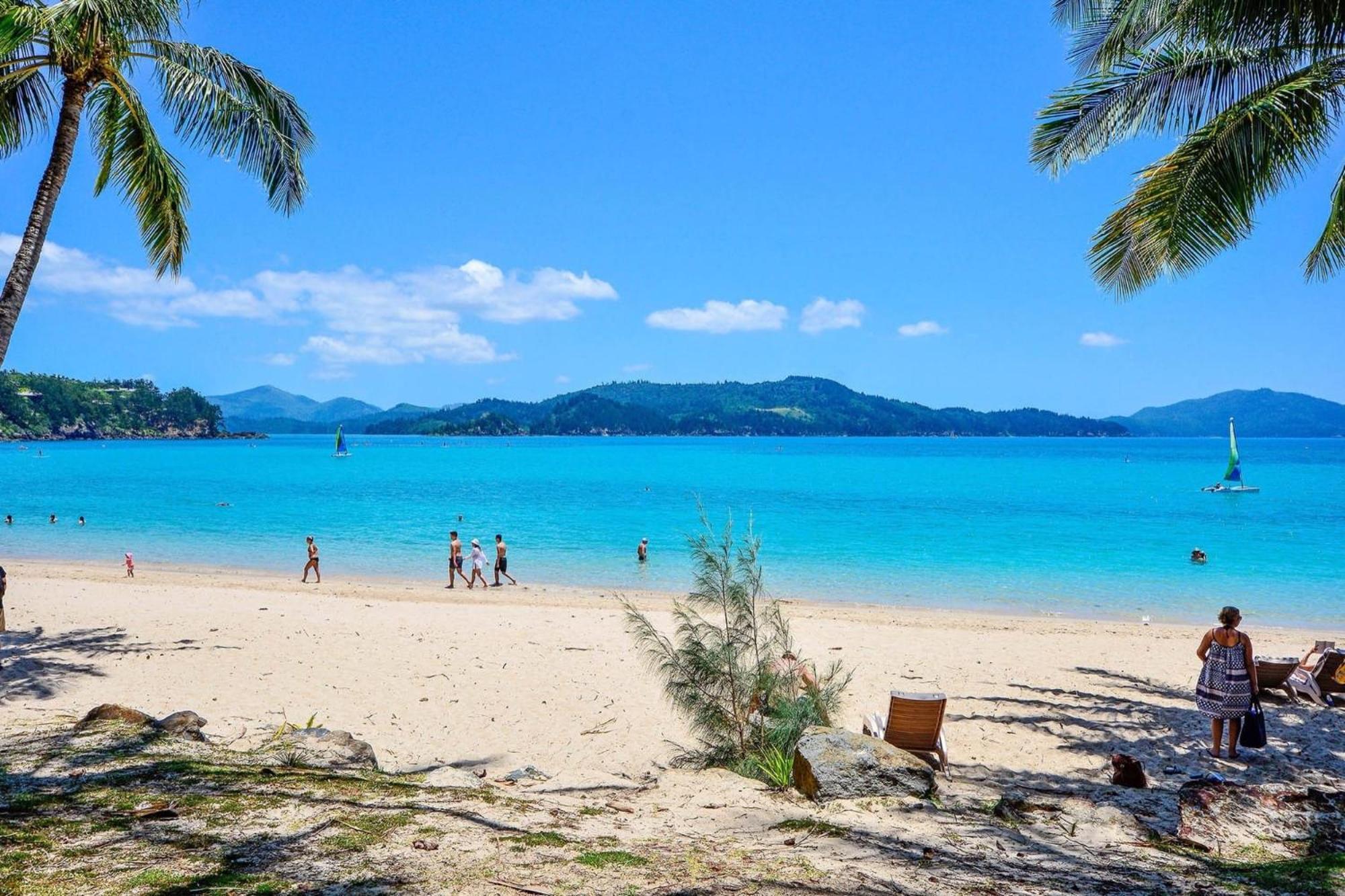 Beachfront 해밀턴아일랜드 외부 사진