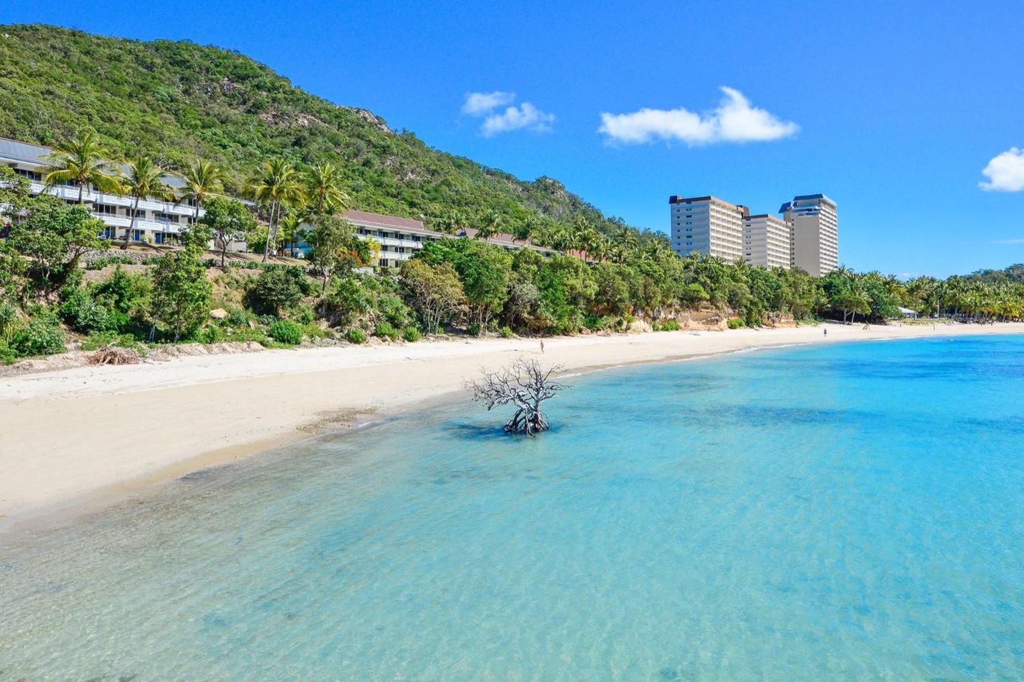 Beachfront 해밀턴아일랜드 외부 사진